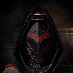 PvE Division III portrait