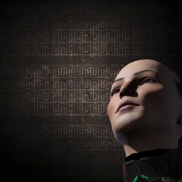 beekeer portrait
