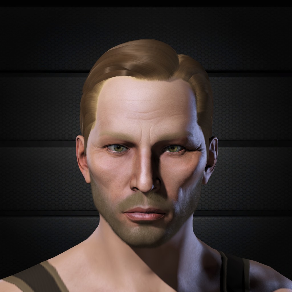 Privatnik