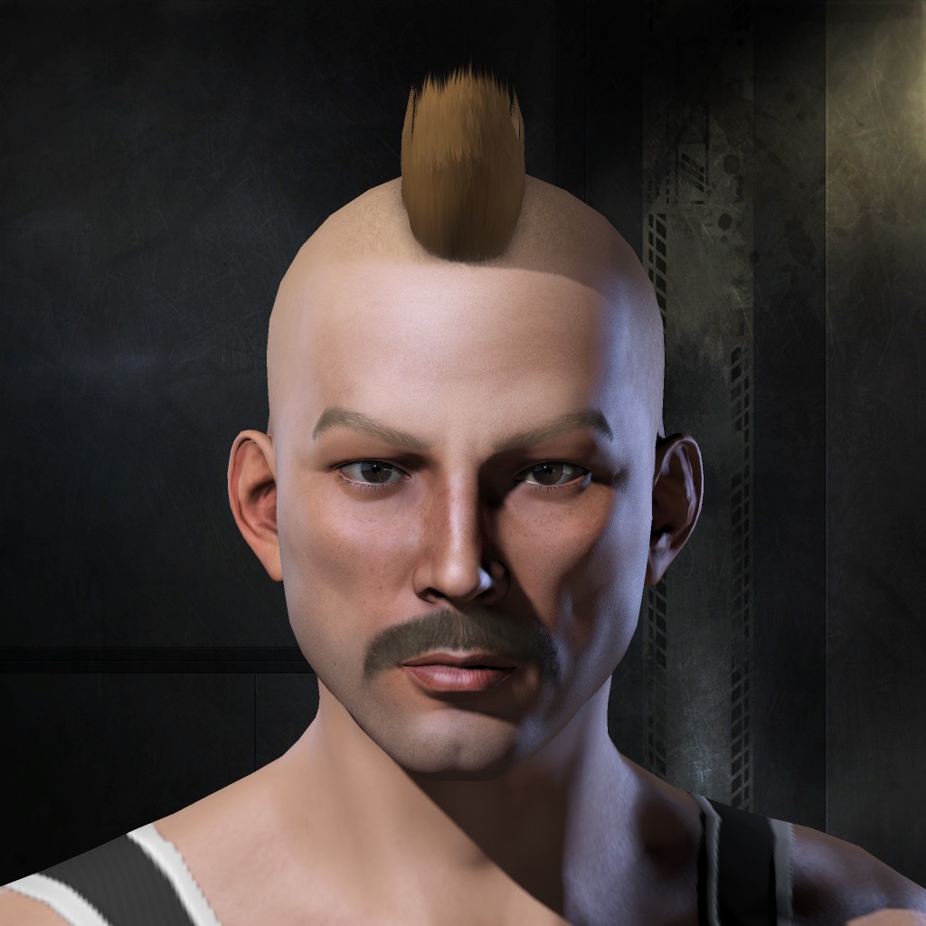 Steal Hawk portrait