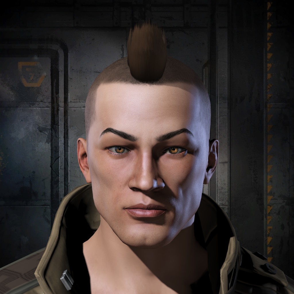 Swipe Hawk portrait