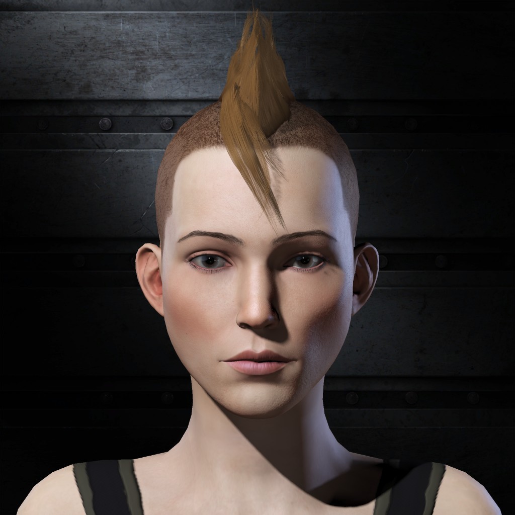 Ship Inspection Agent