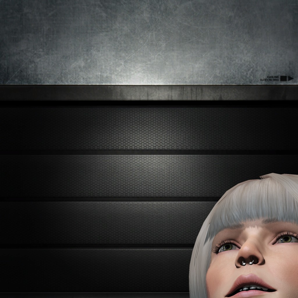 Ship Inspection Agent2