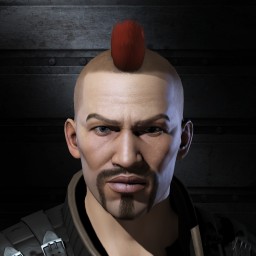 Vindictive Developer portrait