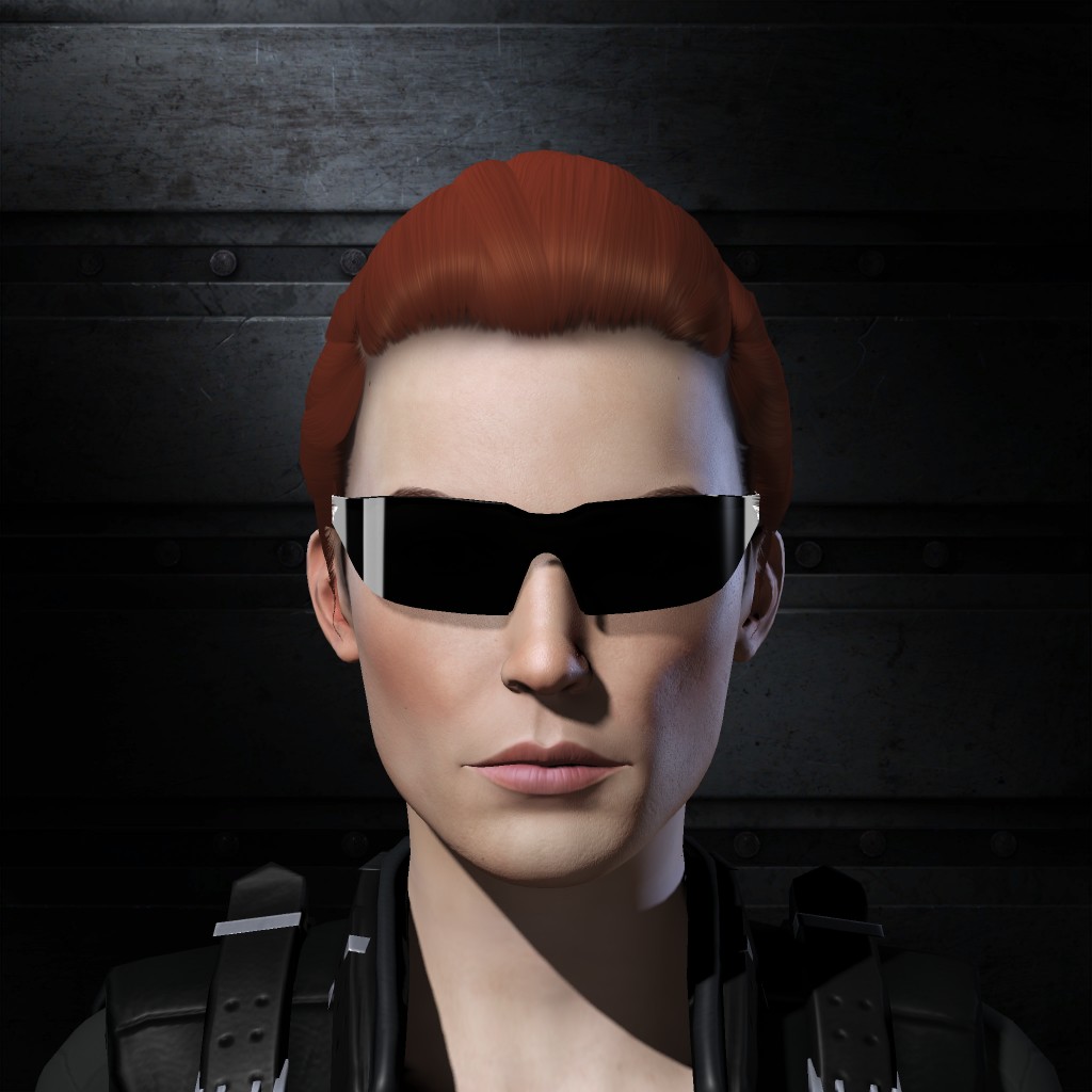 Ancillula Krotor