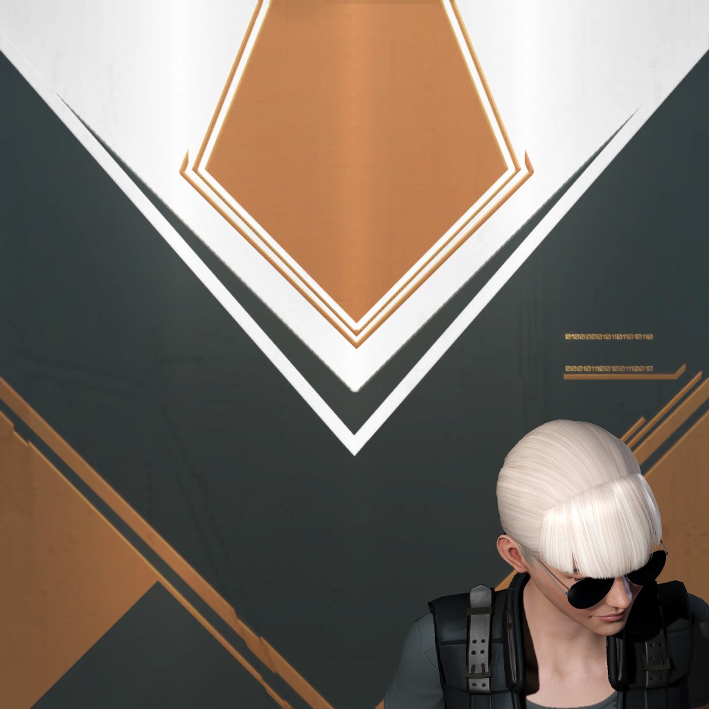 Flycatcher Pilot