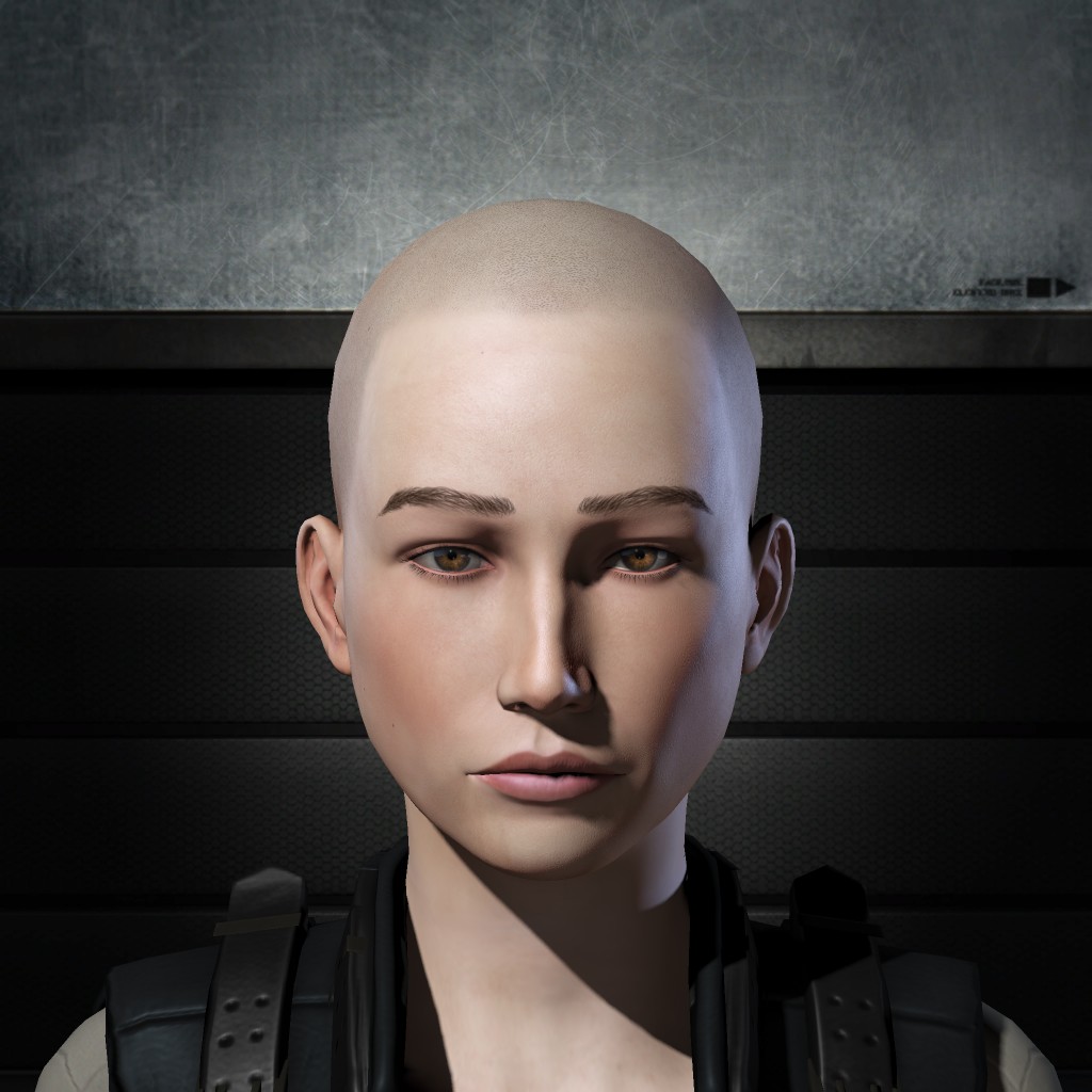 Shepo Spartan
