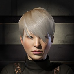 feixingyuan portrait