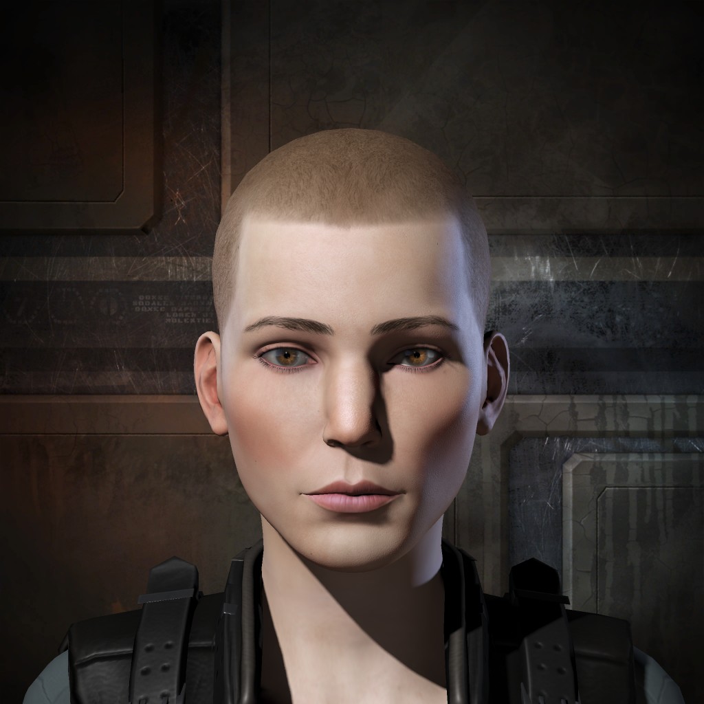 Contractor of Hek