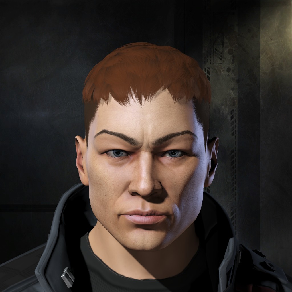 VllaNik