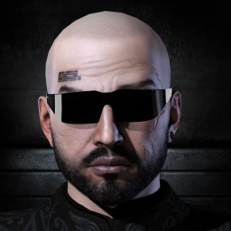 SteevDave portrait