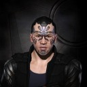 ArtemWoodFox
