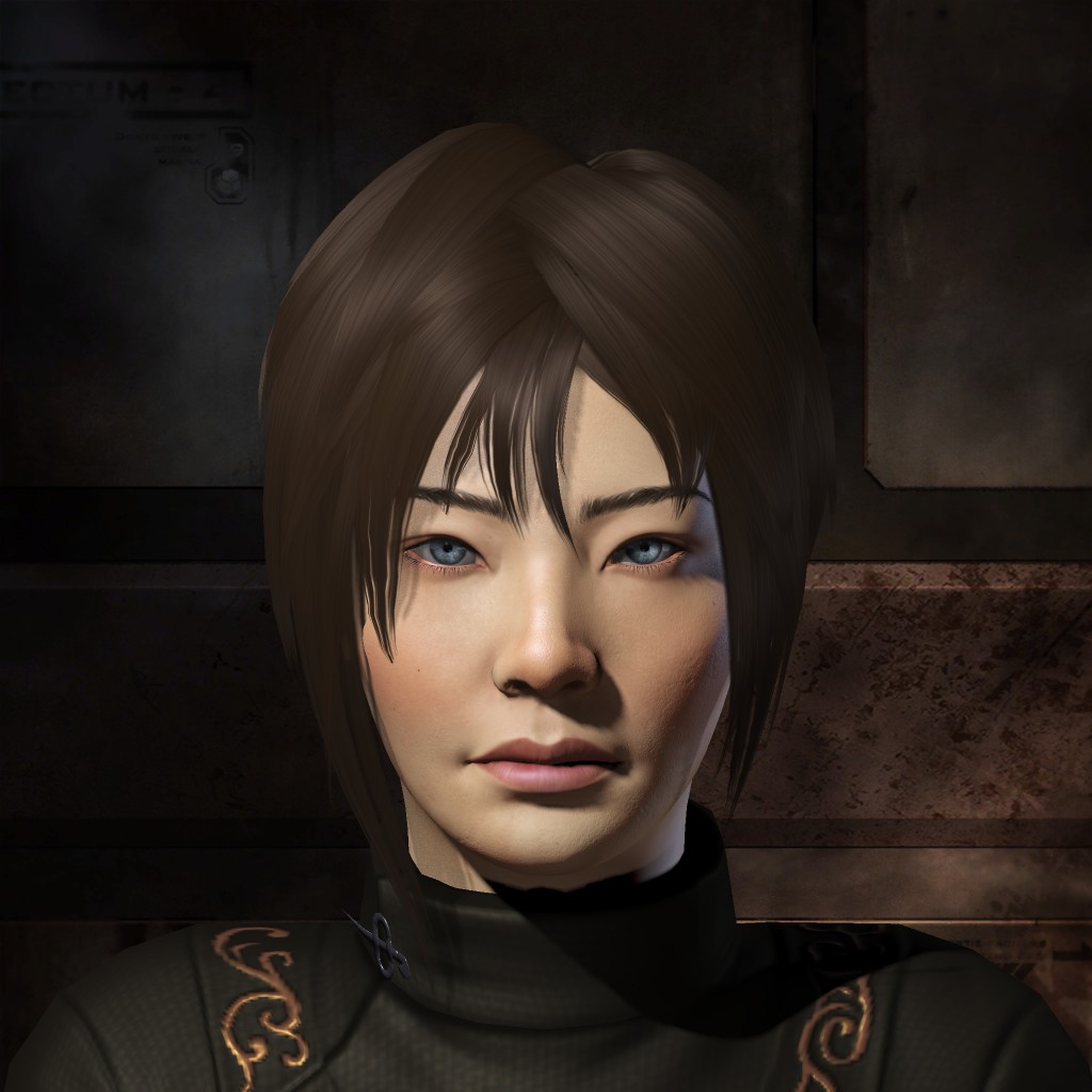 Camouflaged Crusader