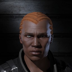 The Illamanati portrait