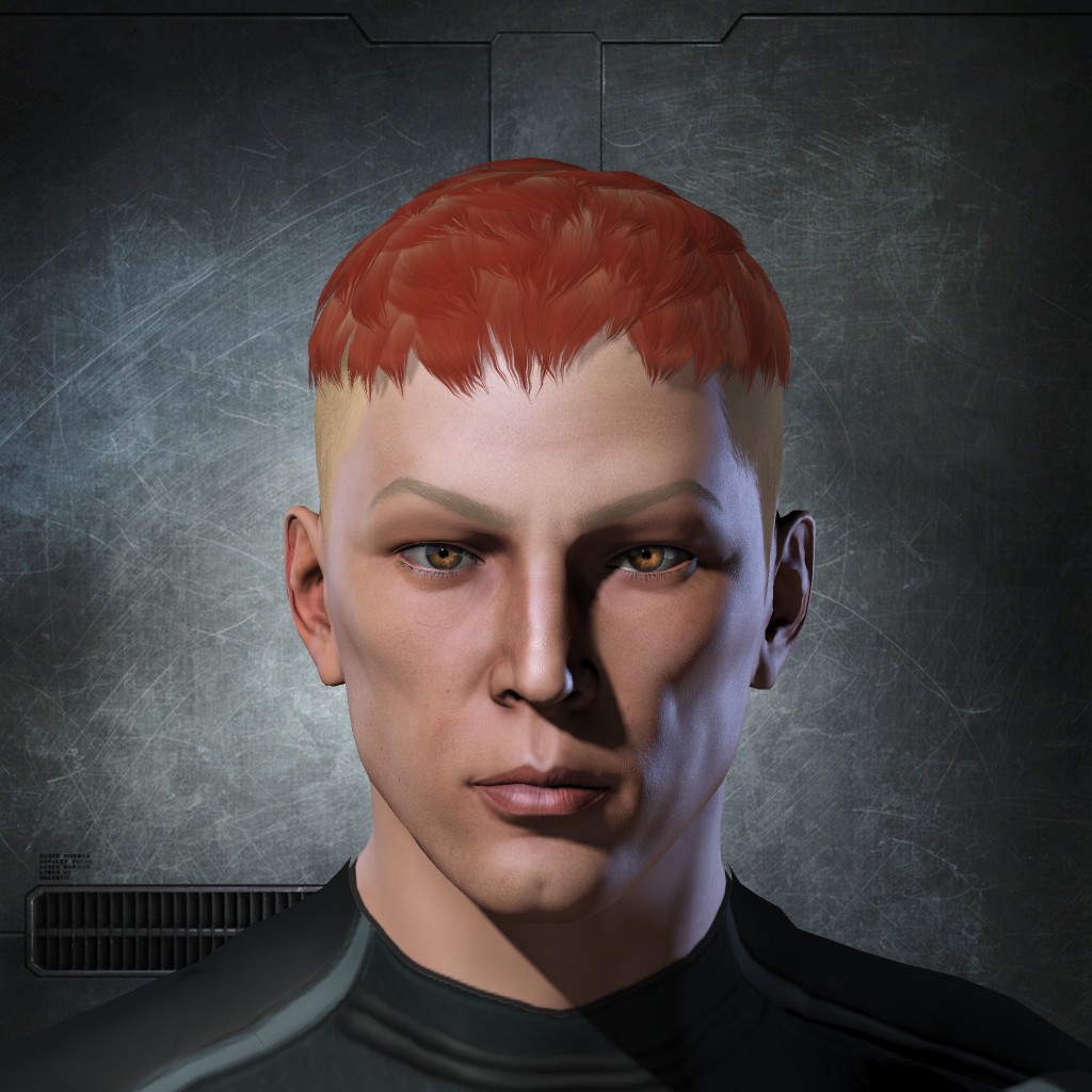 WING COMMANDER ONE
