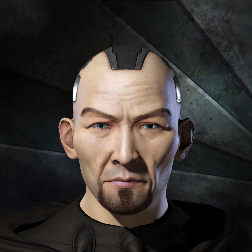 Angelica sinensis Bear