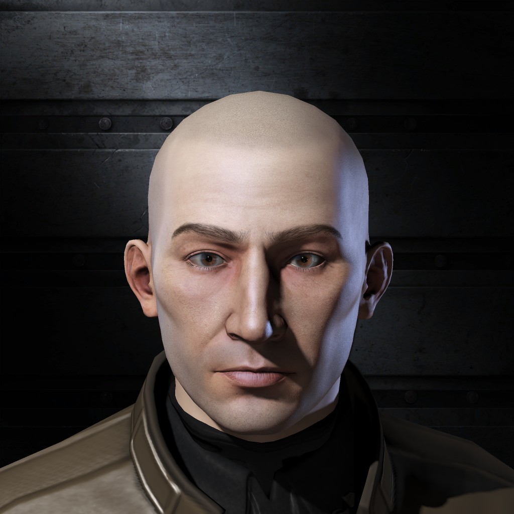 Bald goose