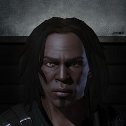 SOL VISOR portrait