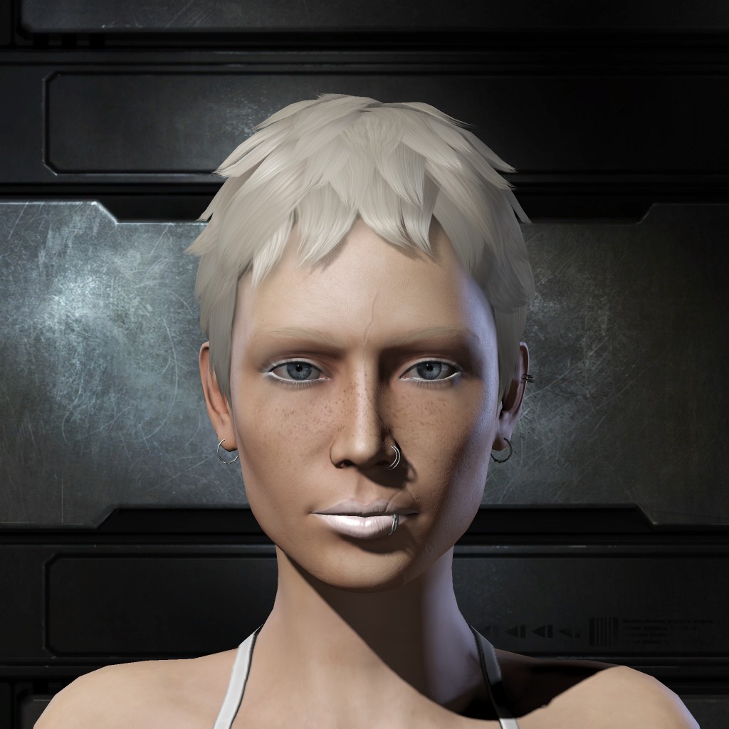 Salaagi