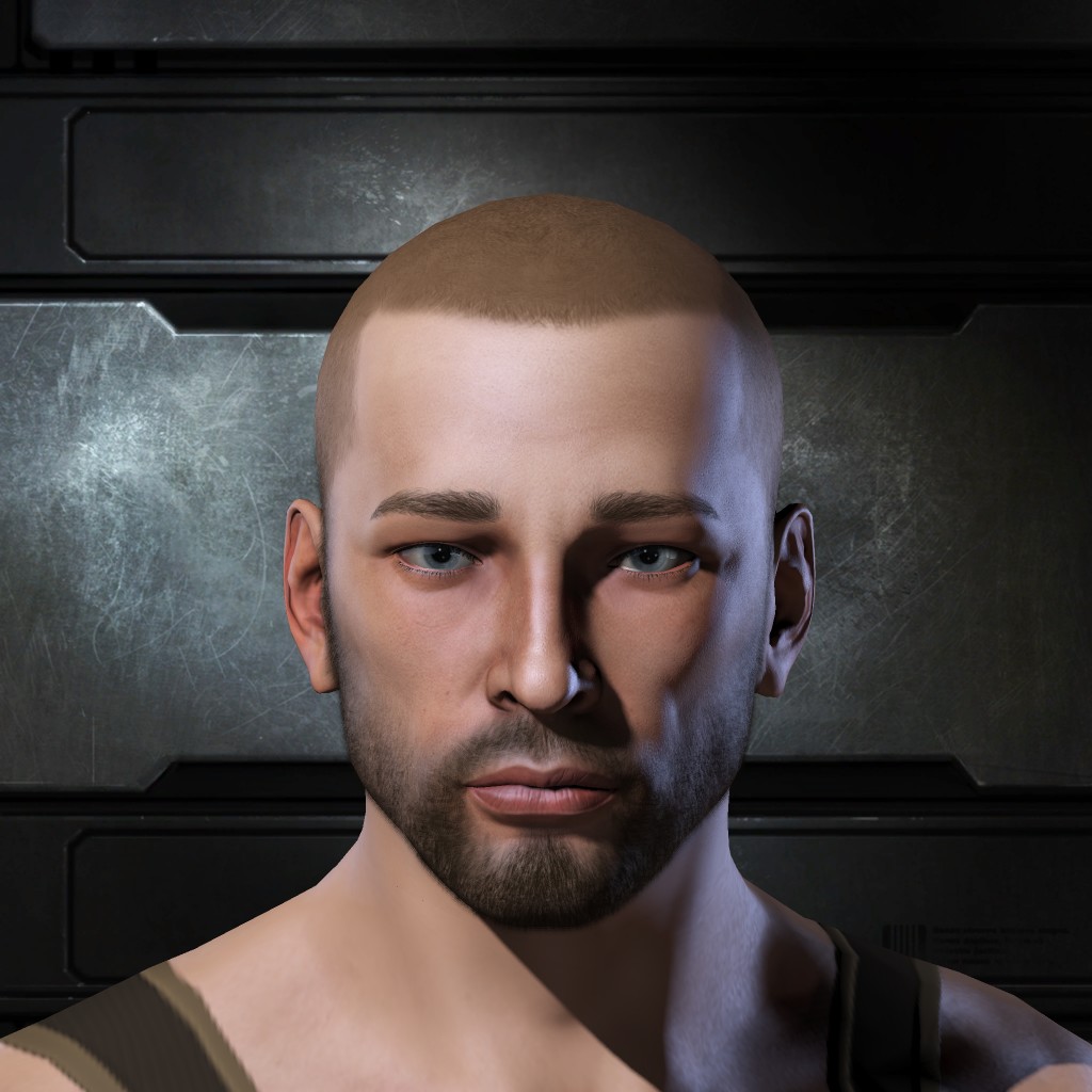 Leonardo da Windschief
