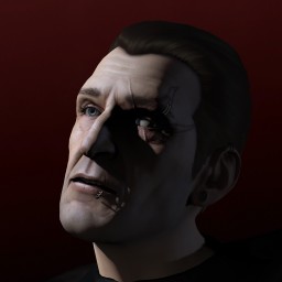 Imperial Vader portrait