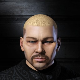 zmjjdan portrait