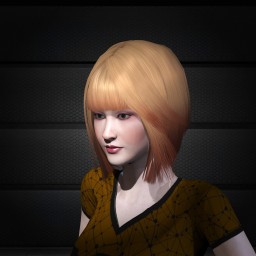 Zhangsun portrait