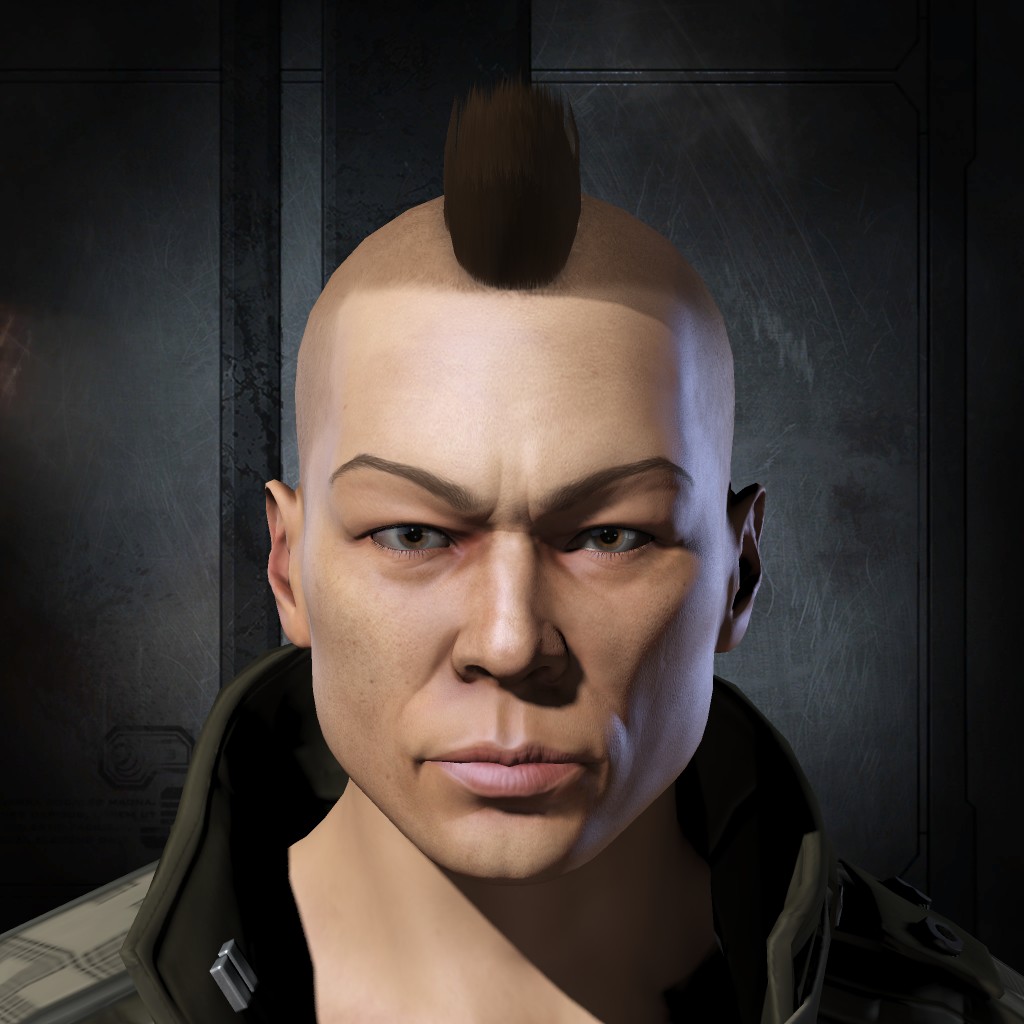 raid goose 2