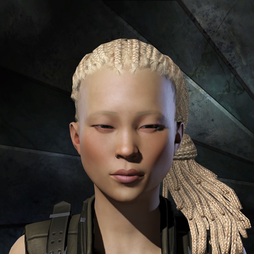 Anarchya Enforcer
