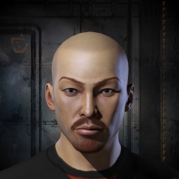 di wu shiwei portrait