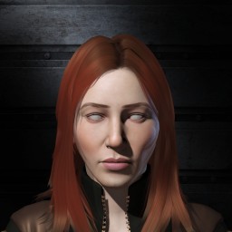 ice enforcement portrait