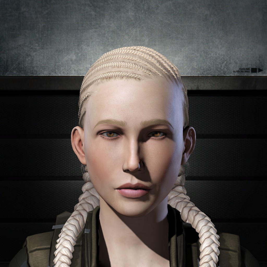 Ansonnoteel Odene Plaude