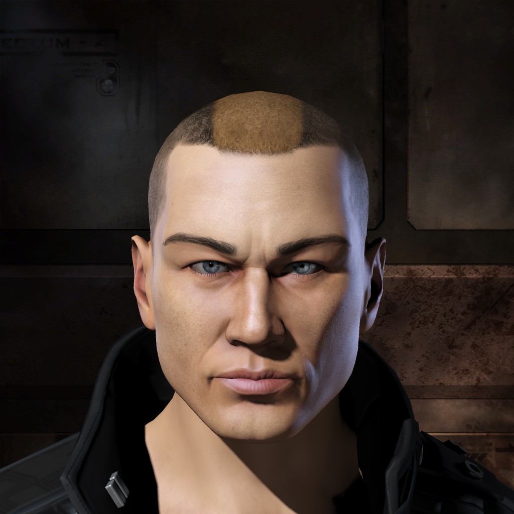 SAFETY COLLUSION ALT14