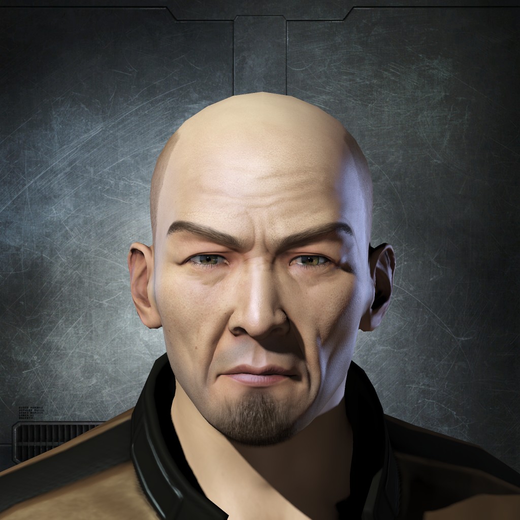 Strix - Occidentalis