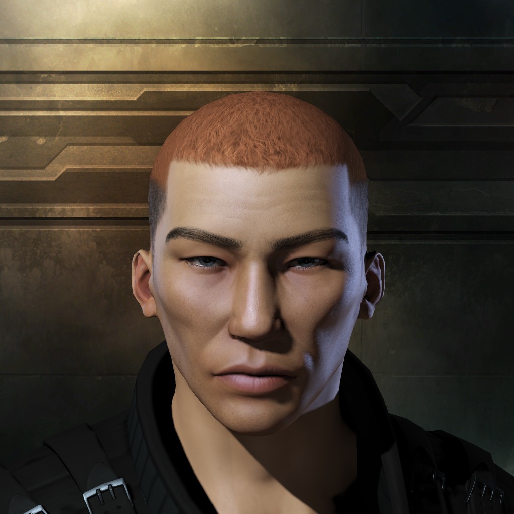 Scheisshausfliege125