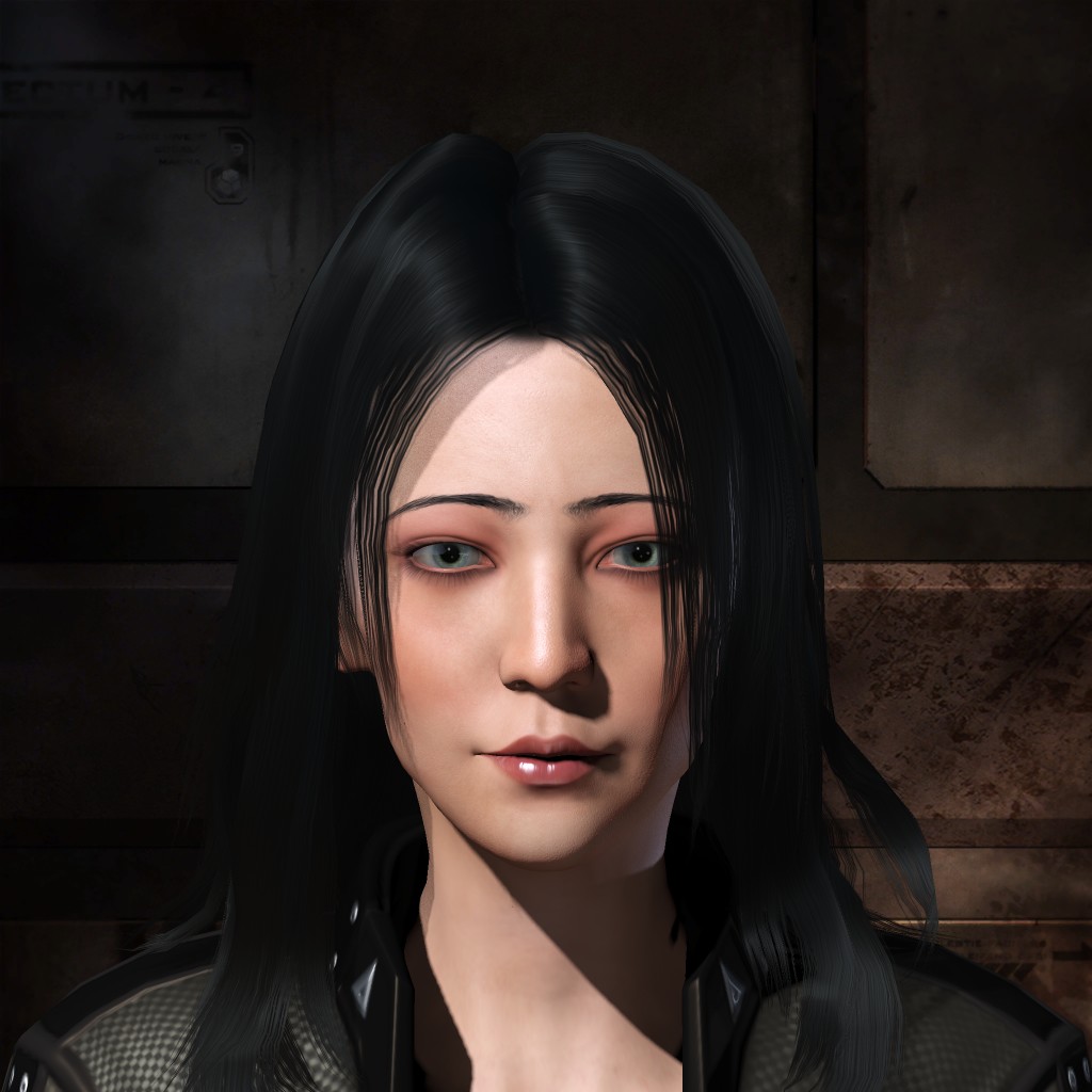 The Sadistic Punisher