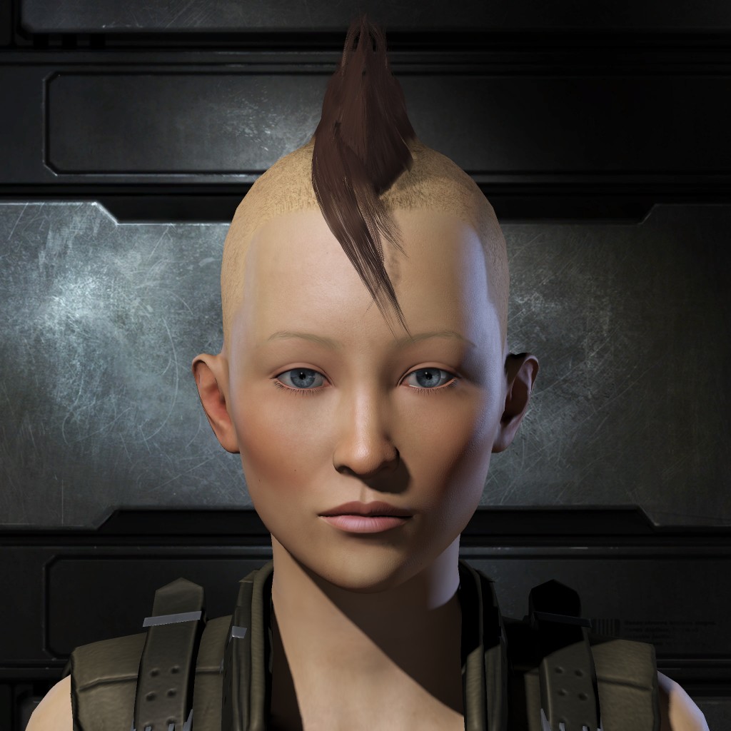 Hurcier Codolle