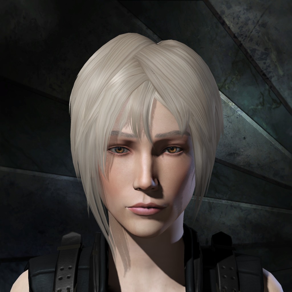 Sueurcet Nynck Chancel