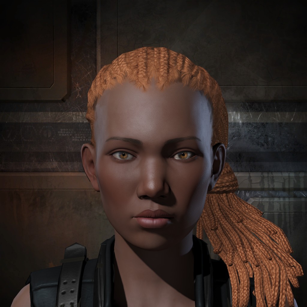 zigi the sergent
