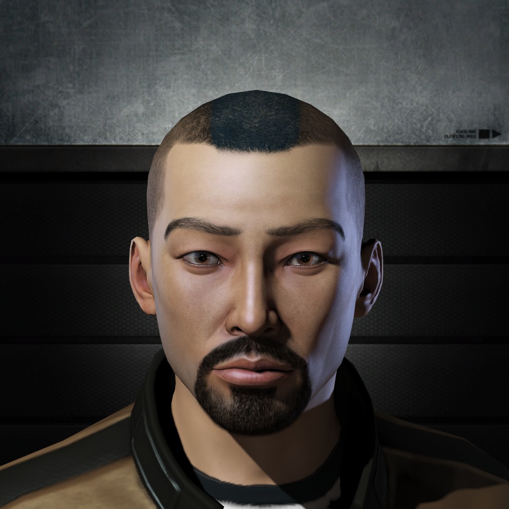 VI SEIS