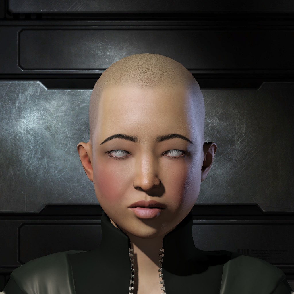 niko hajime