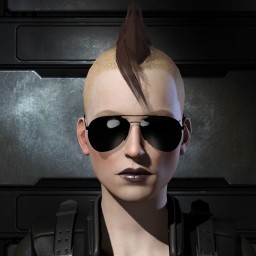 67sai portrait