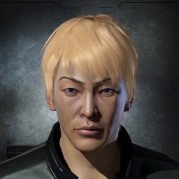 Chinese Chicken Salad portrait