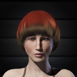 DiHuangWan portrait