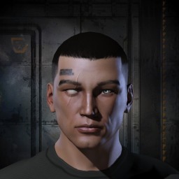 Scammed portrait