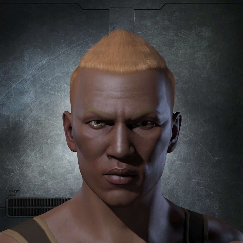 Hawk Bravo