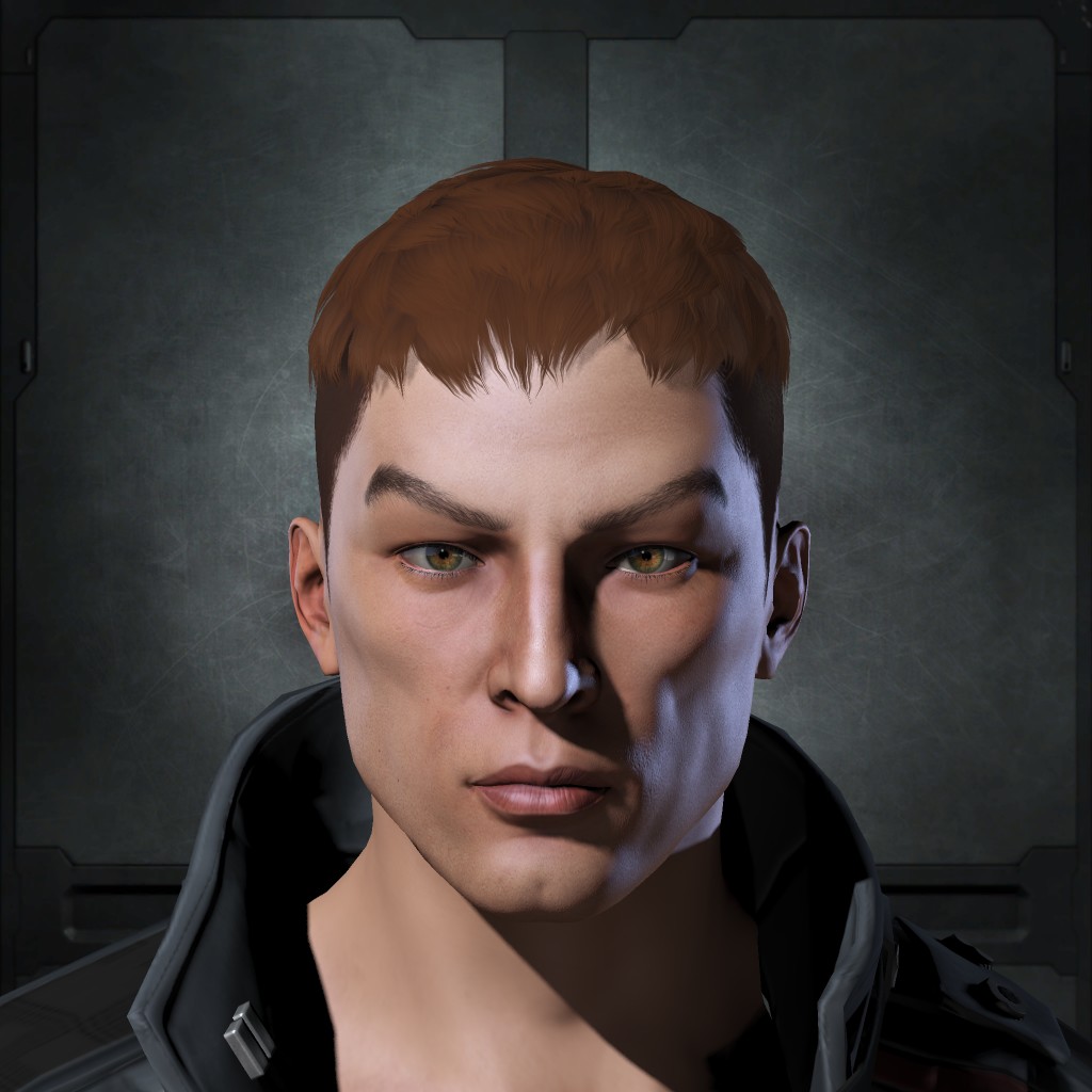 raid goose X1