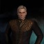 Zavyn Malik Zavyn Malik
