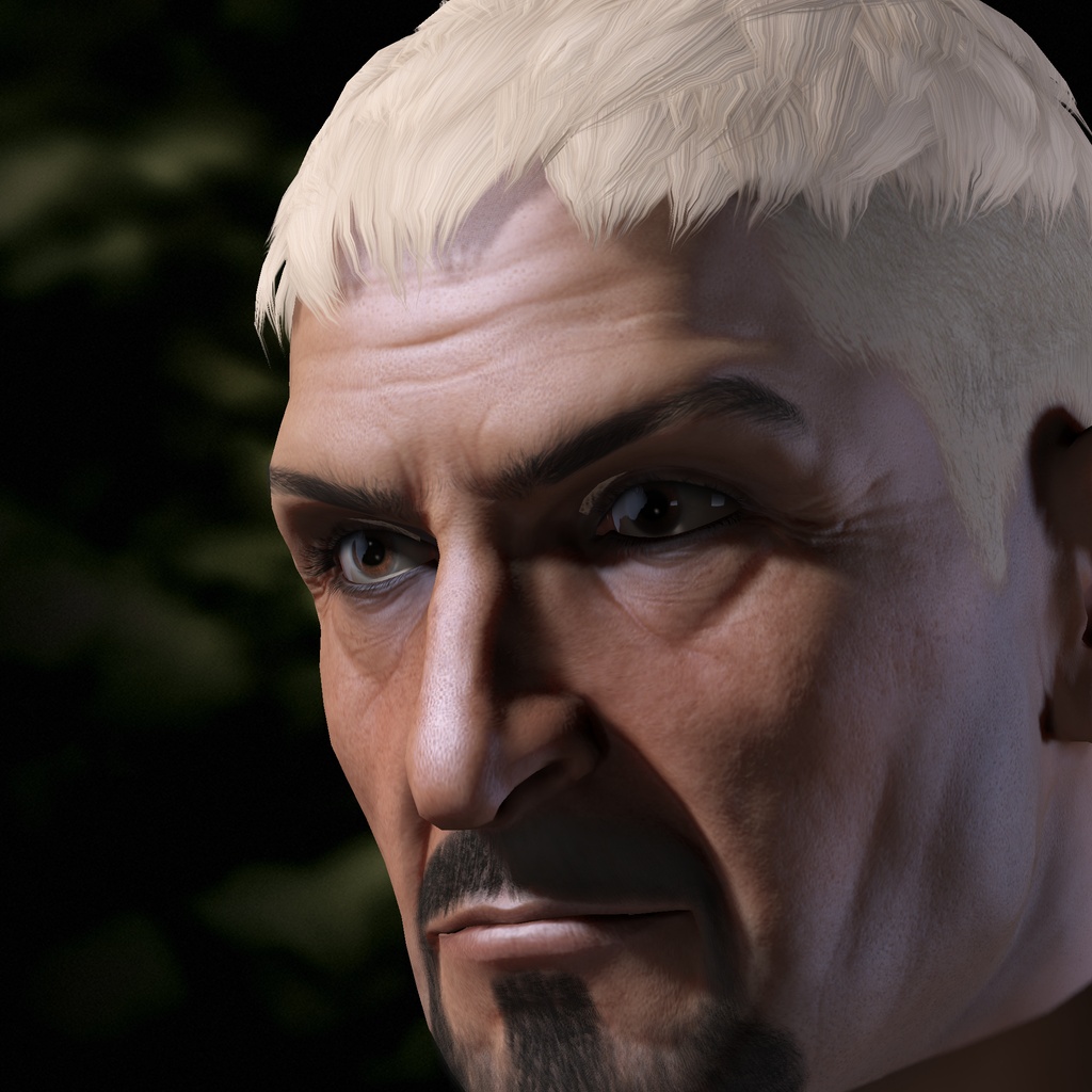 Academicus