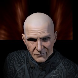 Vice Royy portrait
